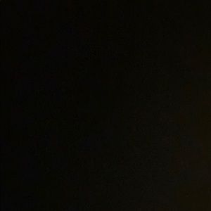 Meet your Posher, Bella